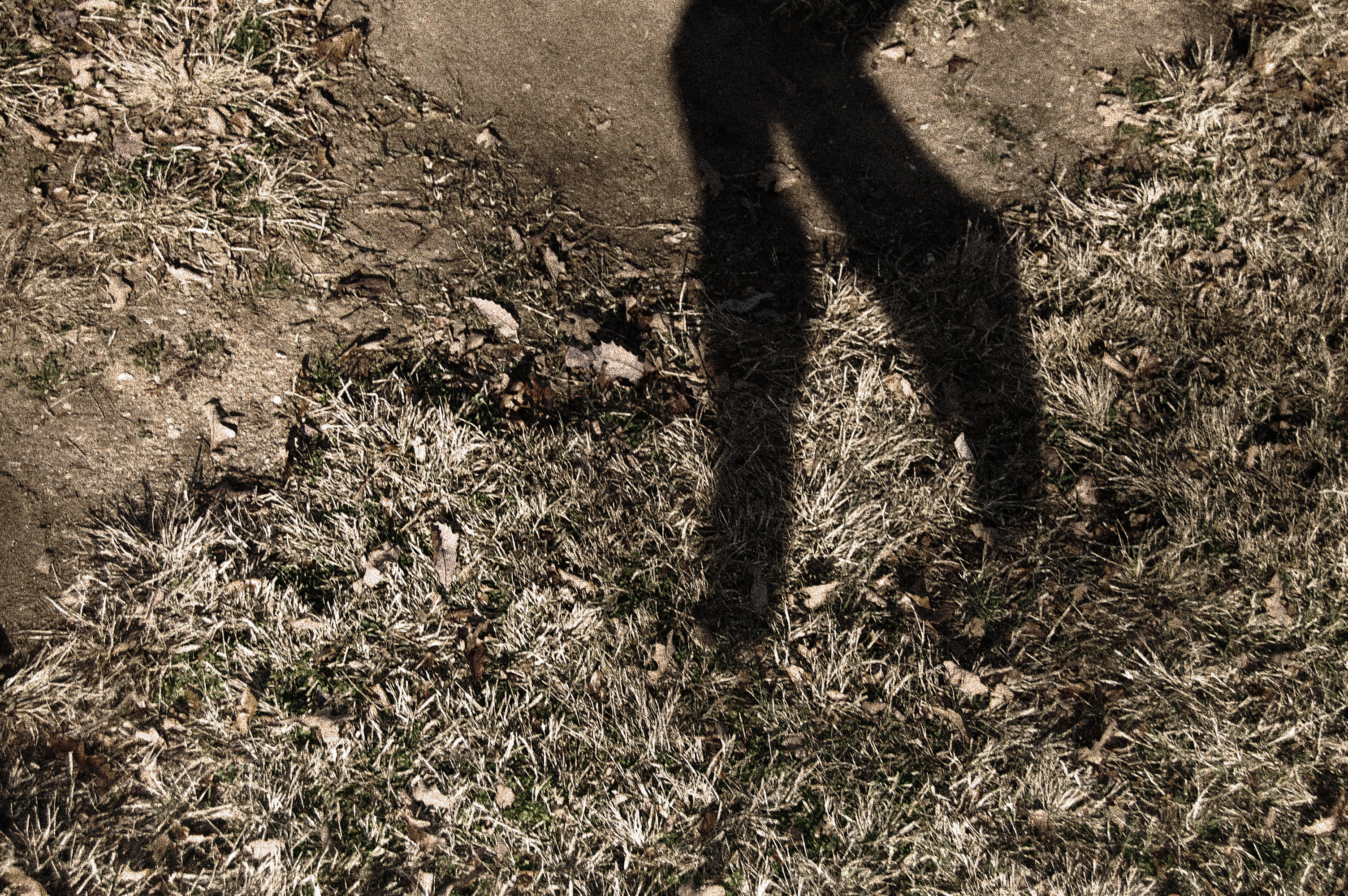 him | scene, somewhere