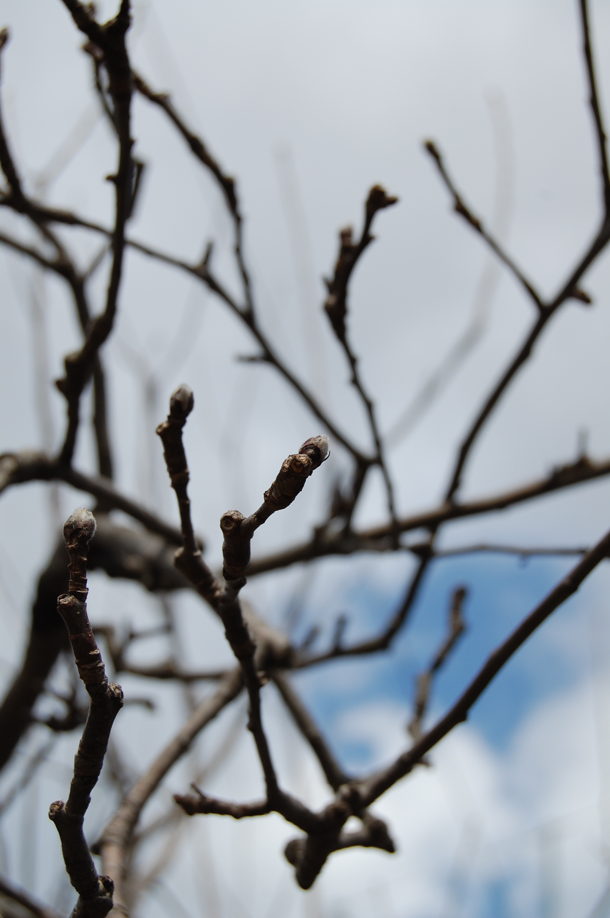 the first days of spring