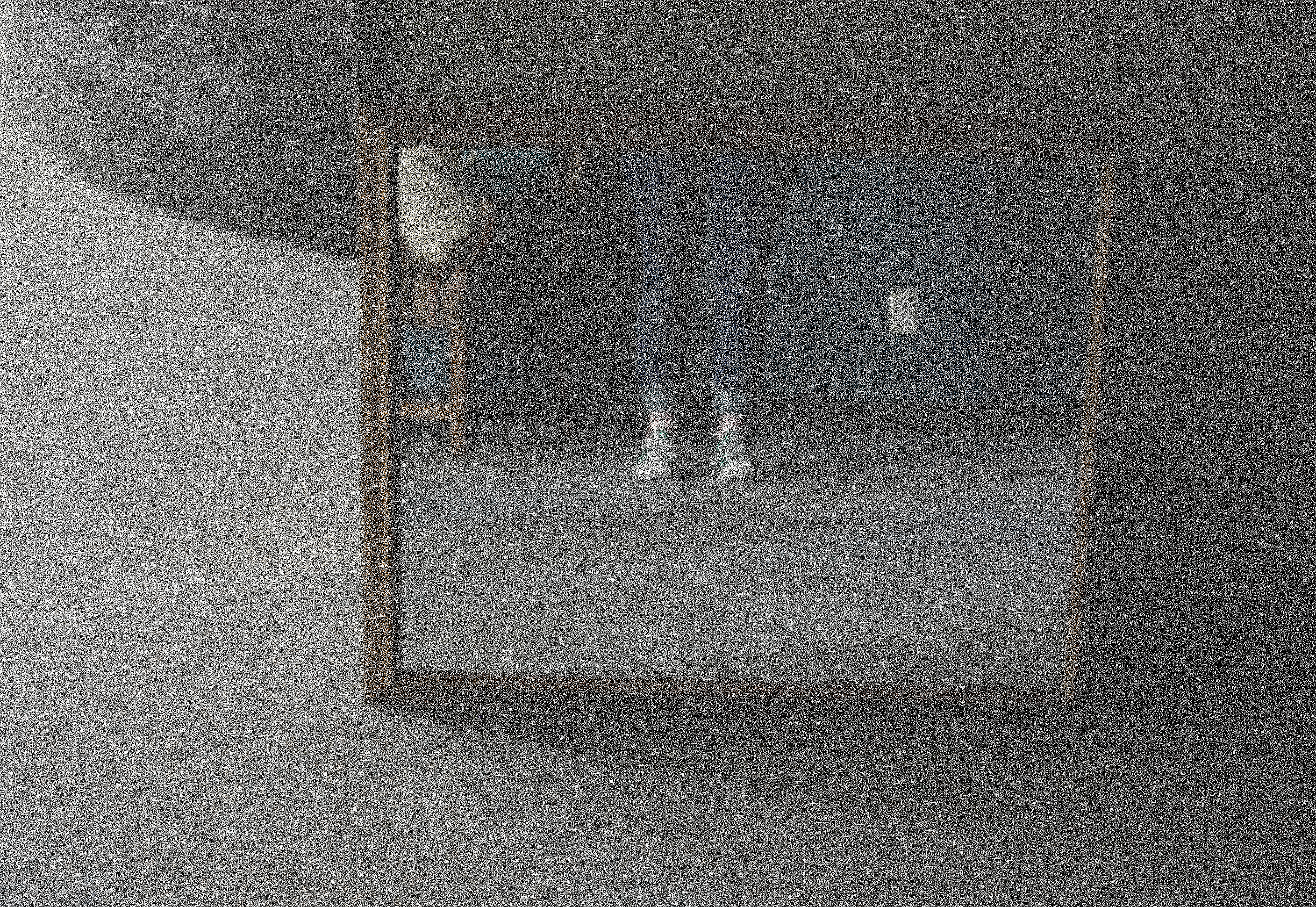 portrait or reflection?