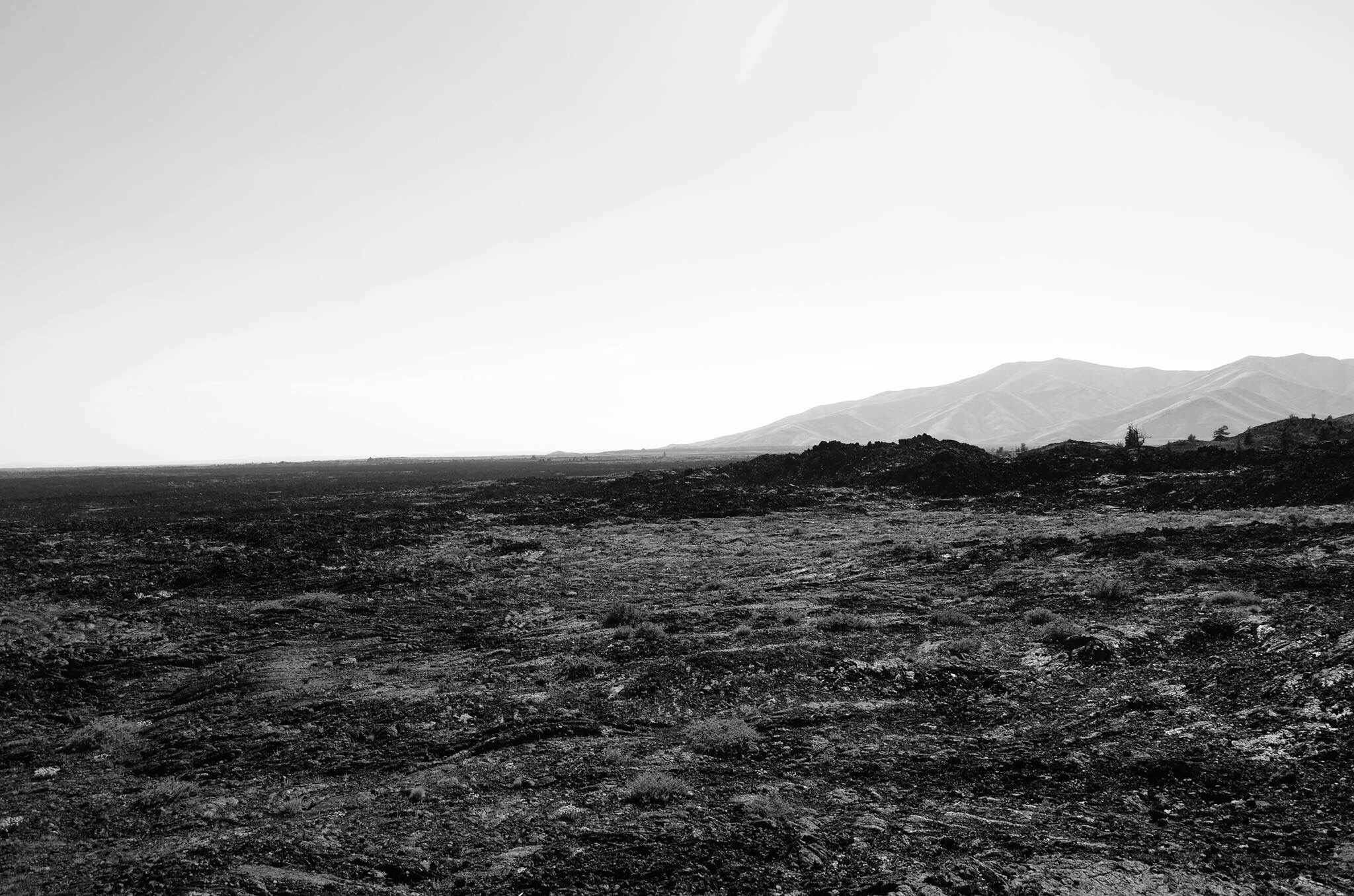 on the brink of a barren land