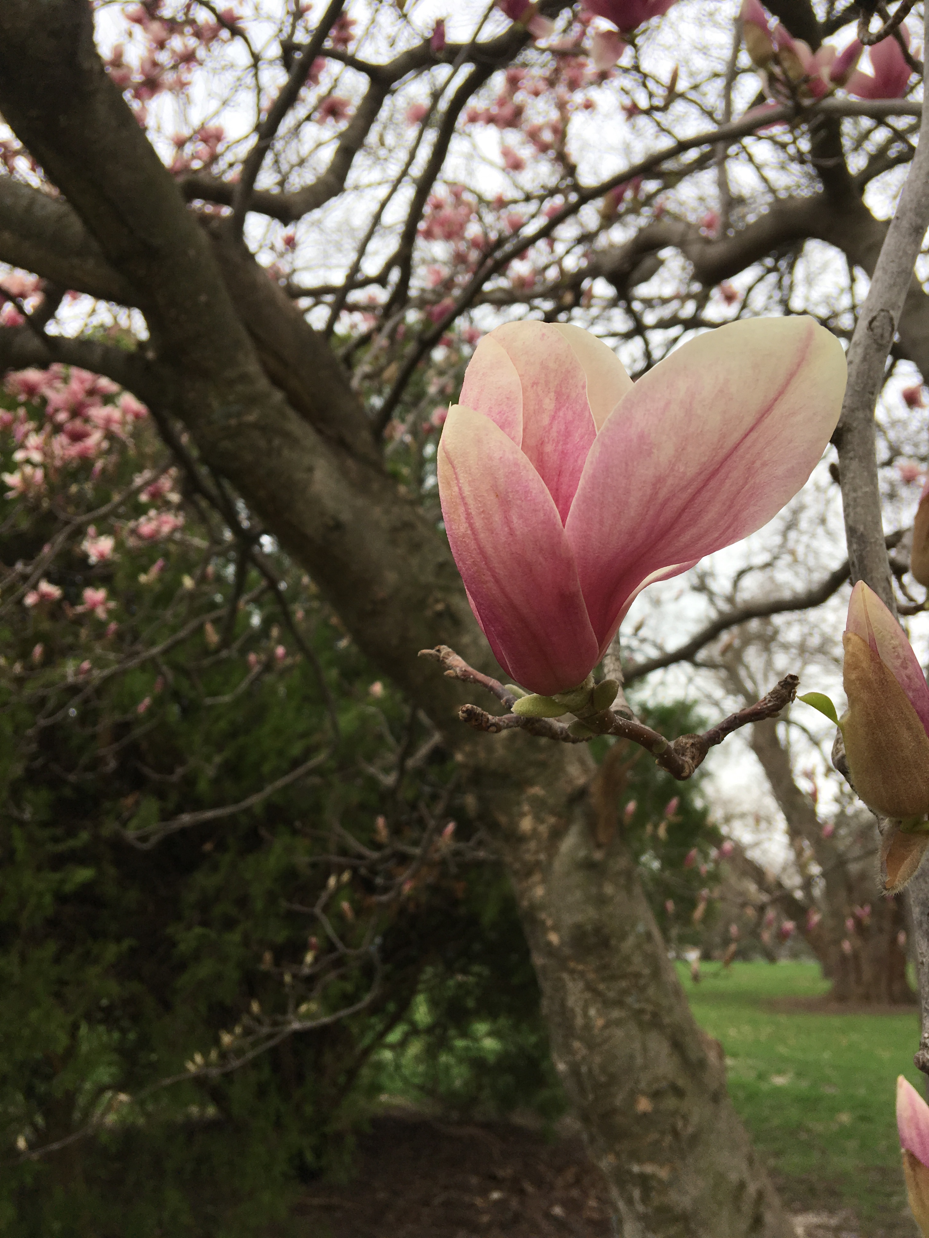 on the brink of golden hour