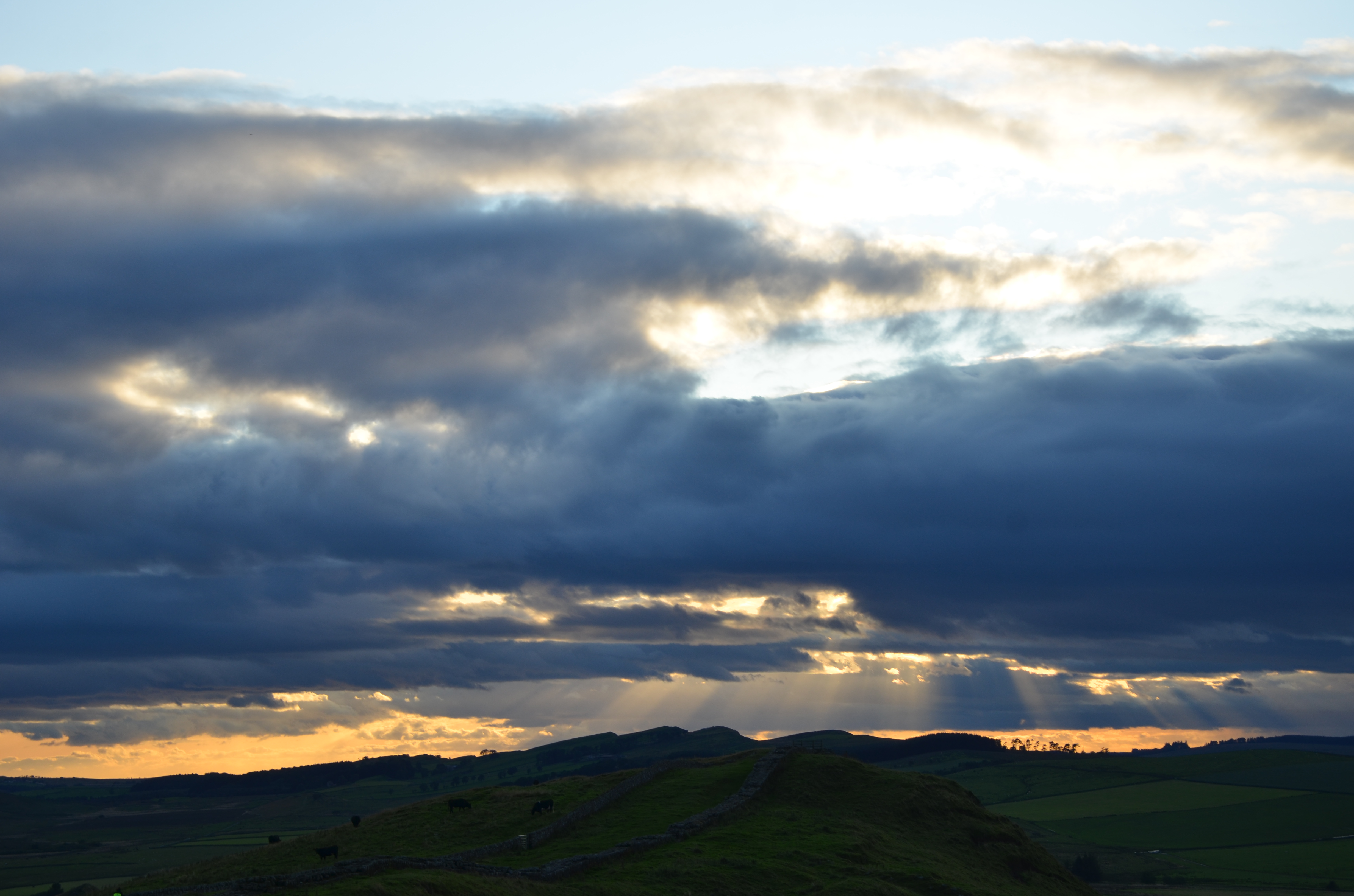 when gold beams bend
