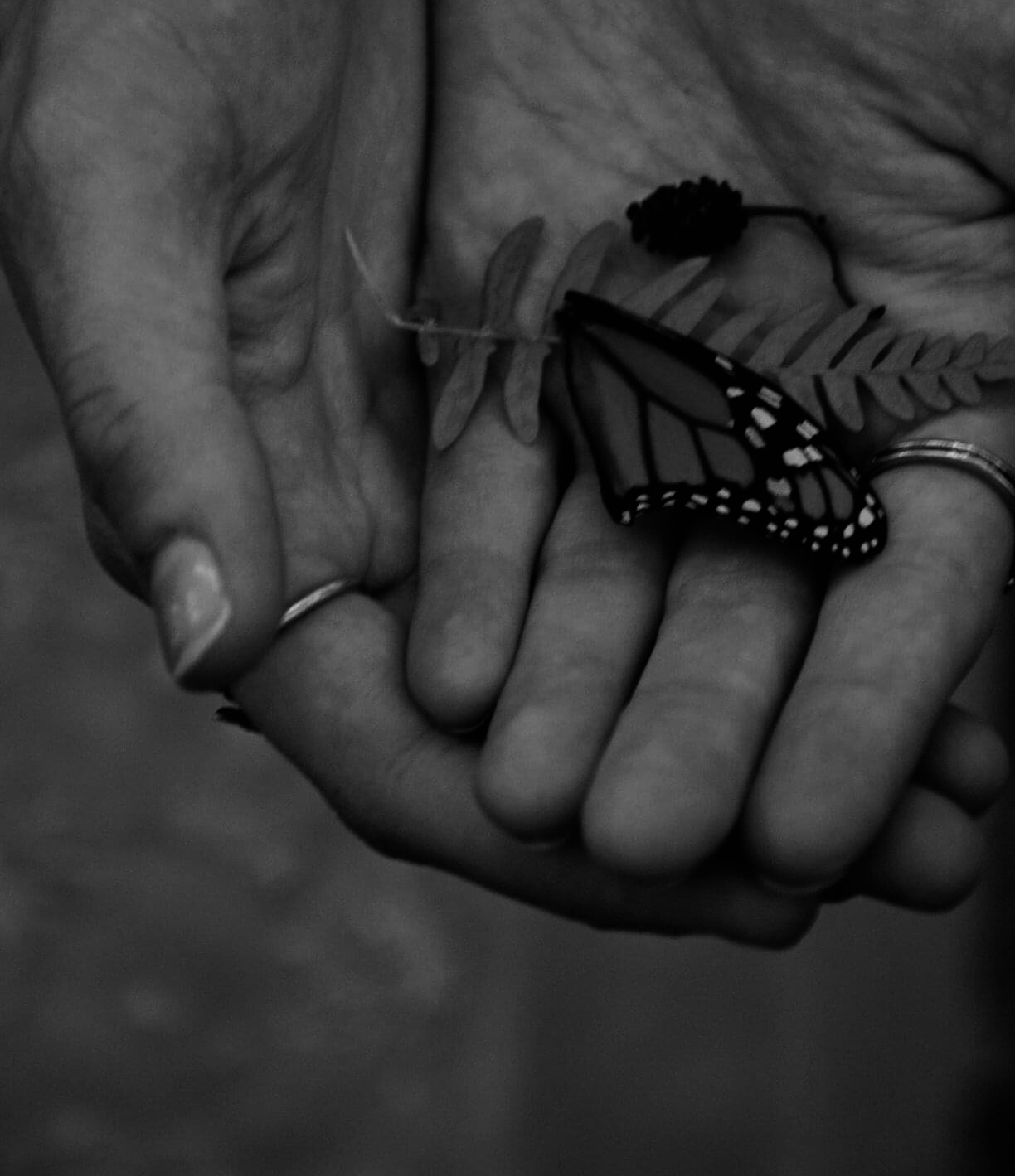 to hold the ephemeral