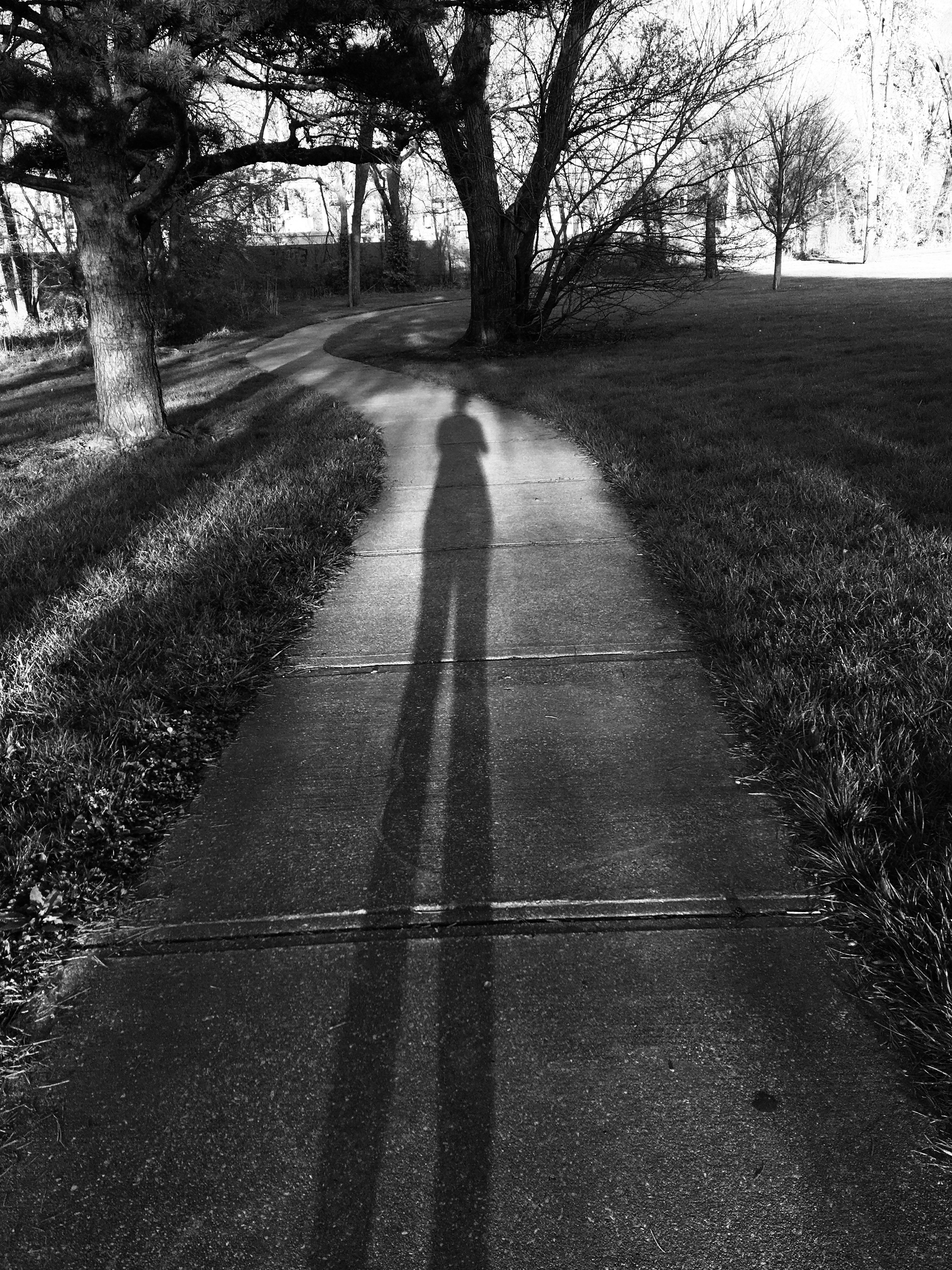 a trick of the light