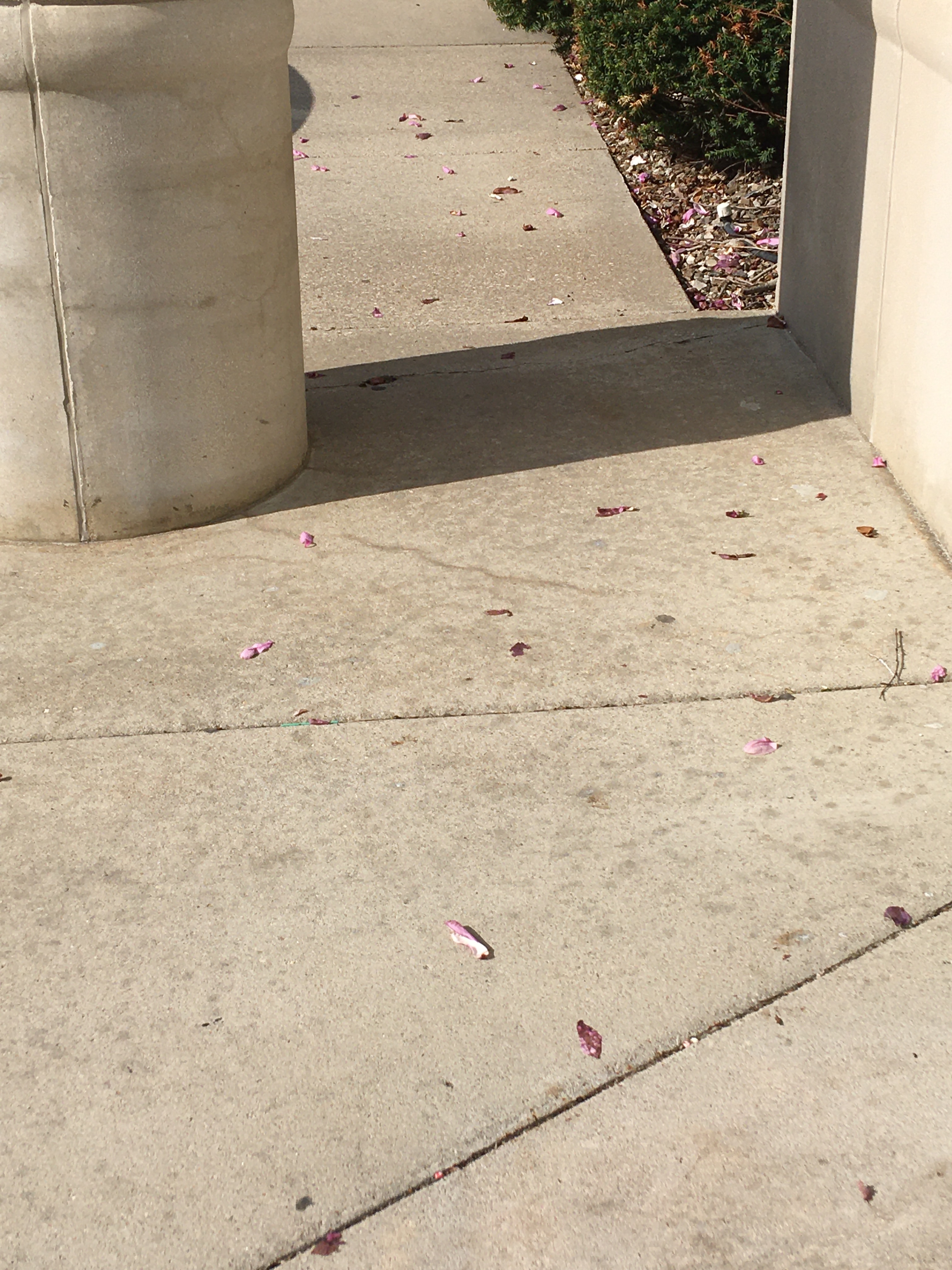 petals