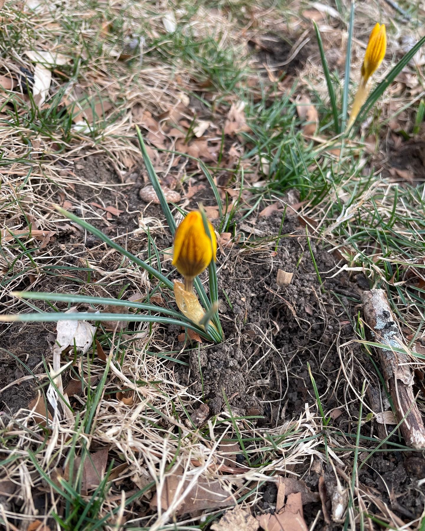 march 3