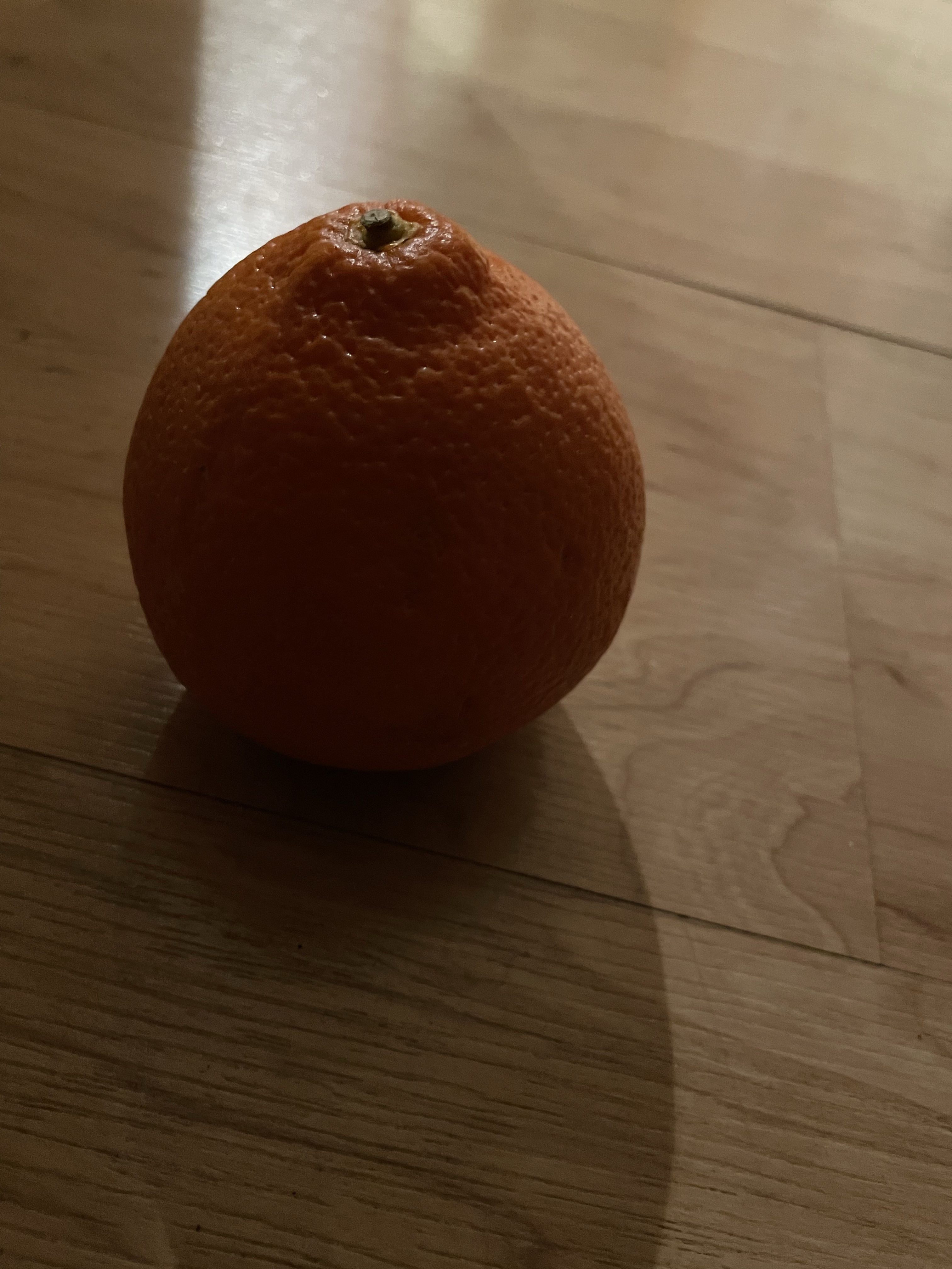 a gift from sunny florida