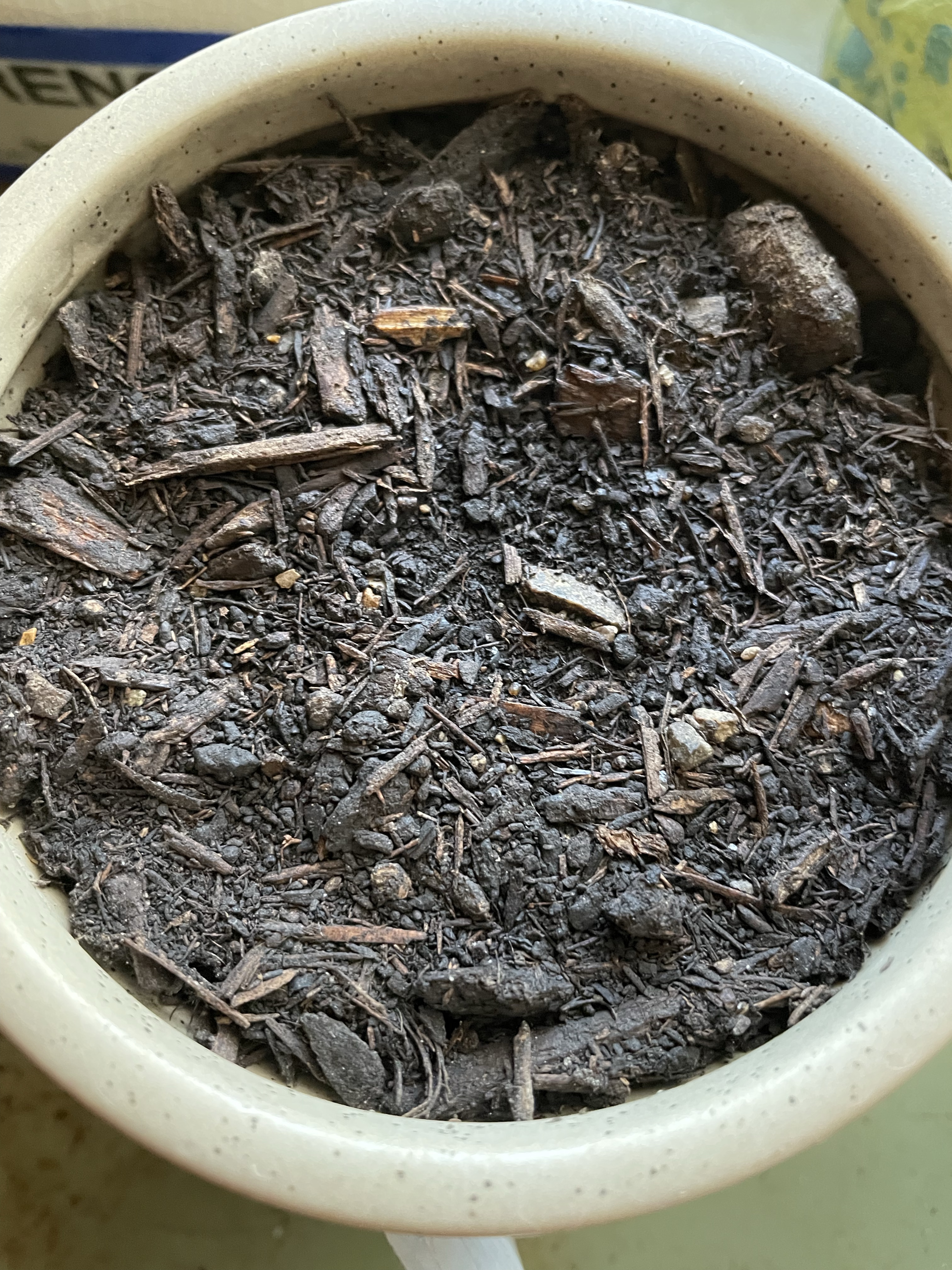 secret seeds