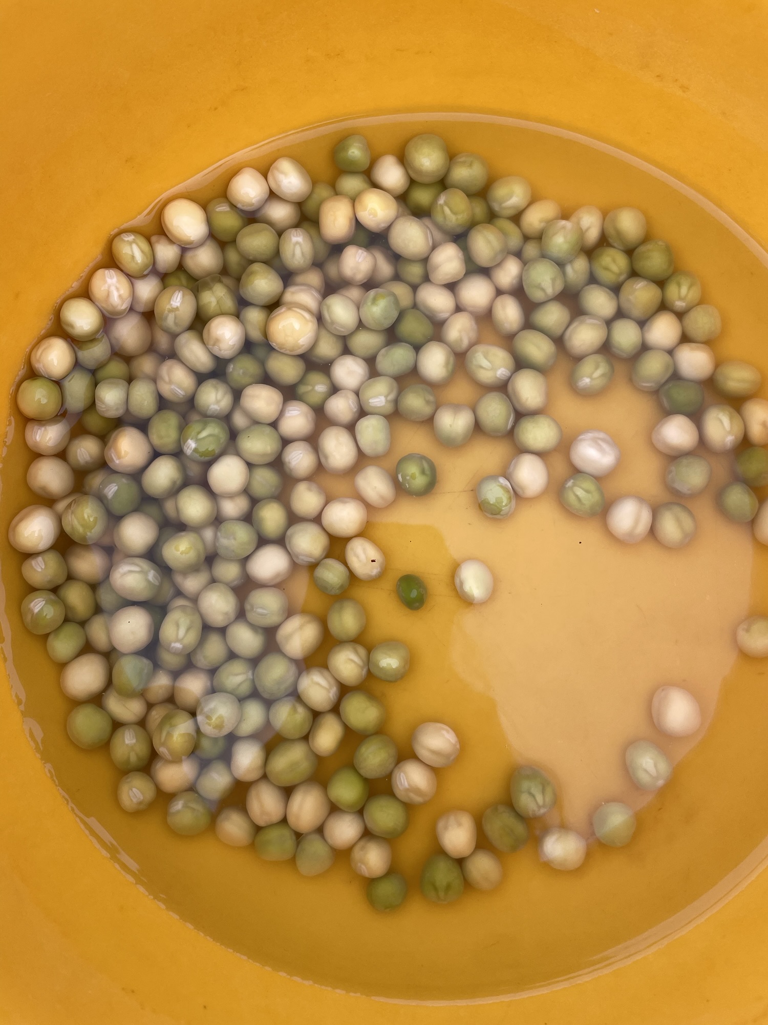 the fruit of laughter