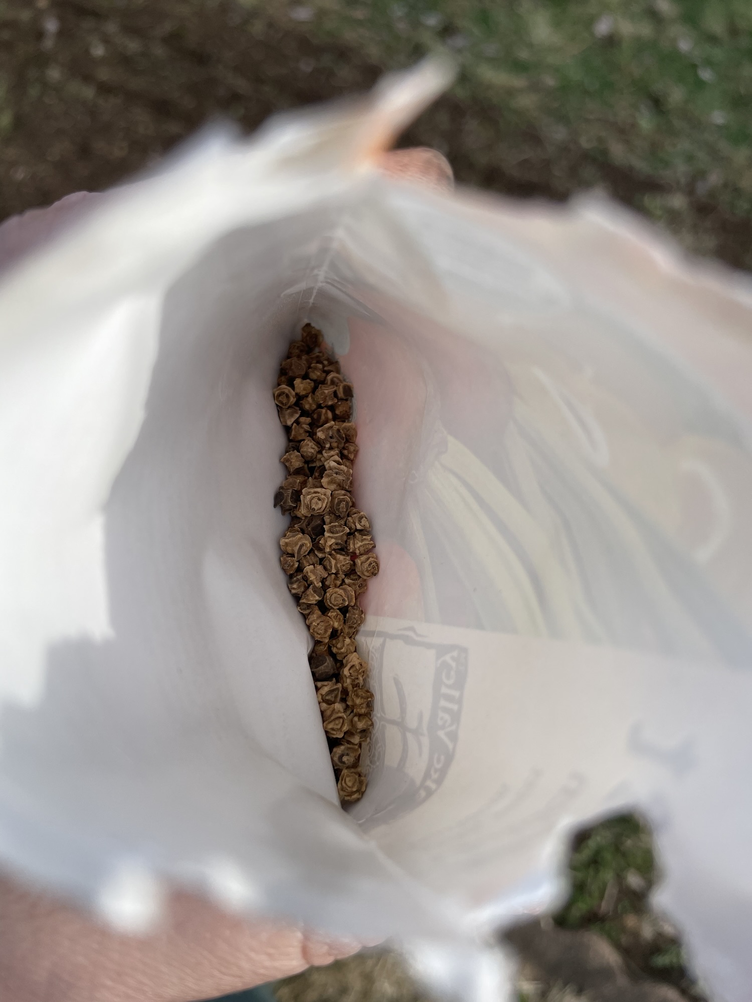 the fruit of patience